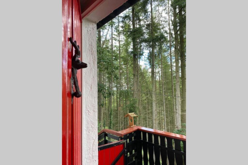 The Vianden Cottage - Charming Cottage In The Forest Extérieur photo